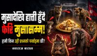 मुसादेखि हात्ती हुँदै फेरि मुसासम्म : हामी किन उही प्रश्नको पर्खाइमा छौँ ?